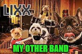 MY OTHER BAND | made w/ Imgflip meme maker