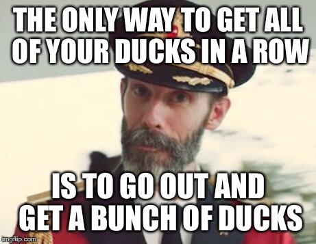 Captain Obvious | THE ONLY WAY TO GET ALL OF YOUR DUCKS IN A ROW; IS TO GO OUT AND GET A BUNCH OF DUCKS | image tagged in captain obvious,memes,funny | made w/ Imgflip meme maker
