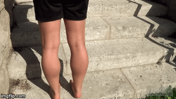 Animated GIF - Imgflip