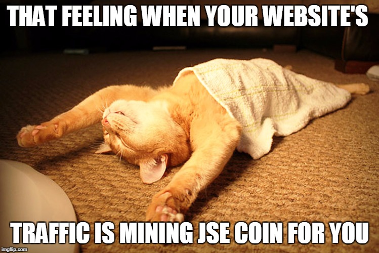 THAT FEELING WHEN YOUR WEBSITE'S; TRAFFIC IS MINING JSE COIN FOR YOU | made w/ Imgflip meme maker
