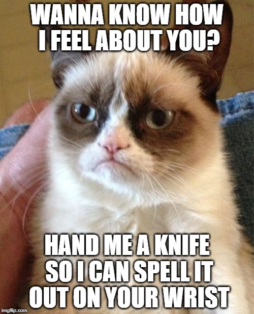 Grumpy Cat | WANNA KNOW HOW I FEEL ABOUT YOU? HAND ME A KNIFE SO I CAN SPELL IT OUT ON YOUR WRIST | image tagged in memes,grumpy cat | made w/ Imgflip meme maker