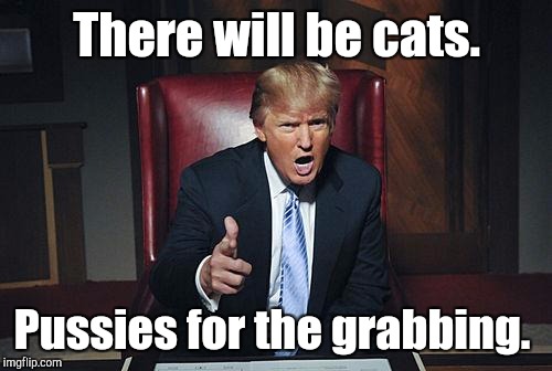 There will be cats. Pussies for the grabbing. | made w/ Imgflip meme maker