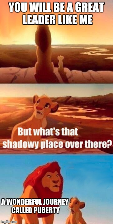 Simba Shadowy Place Meme | YOU WILL BE A GREAT LEADER LIKE ME; A WONDERFUL JOURNEY CALLED PUBERTY | image tagged in memes,simba shadowy place | made w/ Imgflip meme maker