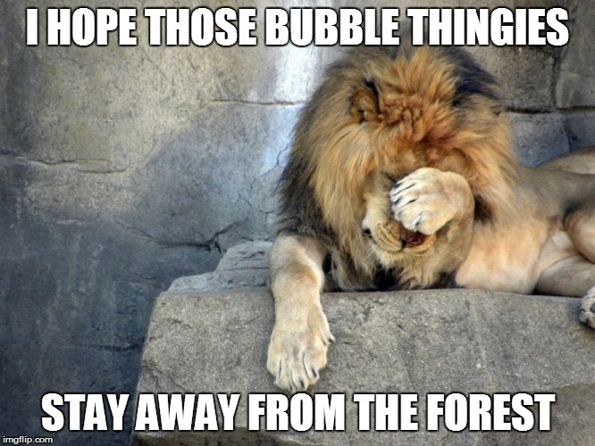 I HOPE THOSE BUBBLE THINGIES STAY AWAY FROM THE FOREST | made w/ Imgflip meme maker