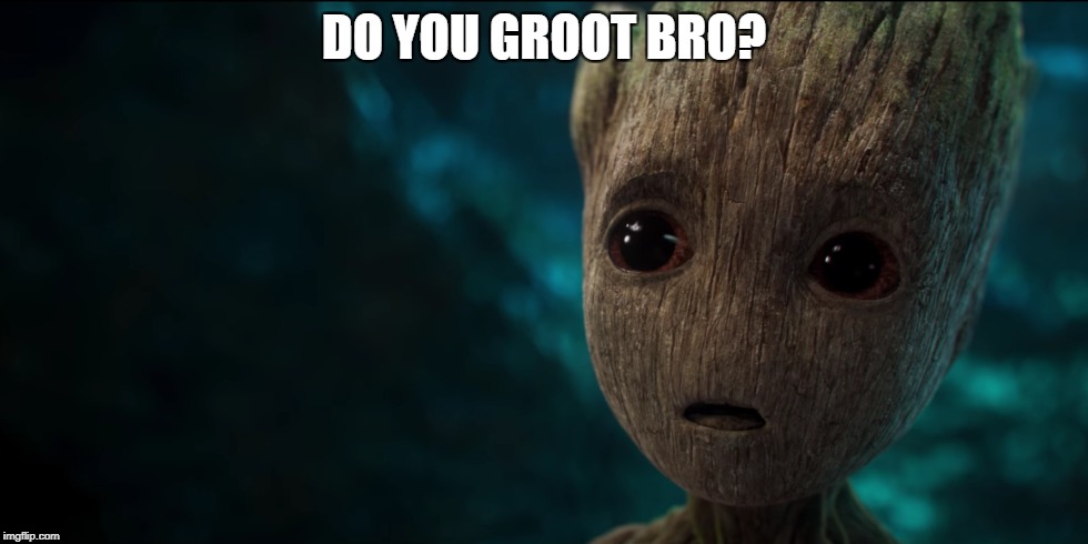 DO YOU GROOT BRO? | image tagged in so much savagery | made w/ Imgflip meme maker