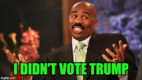 Steve Harvey Meme | I DIDN'T VOTE TRUMP | image tagged in memes,steve harvey | made w/ Imgflip meme maker