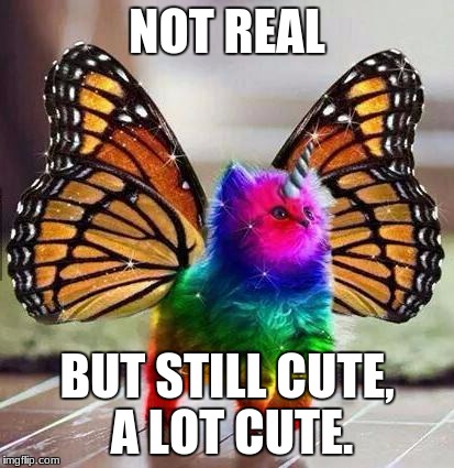 Rainbow unicorn butterfly kitten | NOT REAL; BUT STILL CUTE, A LOT CUTE. | image tagged in rainbow unicorn butterfly kitten | made w/ Imgflip meme maker