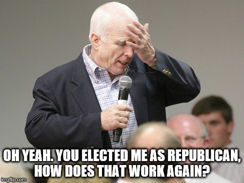 John McCain downloading | OH YEAH. YOU ELECTED ME AS REPUBLICAN, HOW DOES THAT WORK AGAIN? | image tagged in john mccain downloading | made w/ Imgflip meme maker