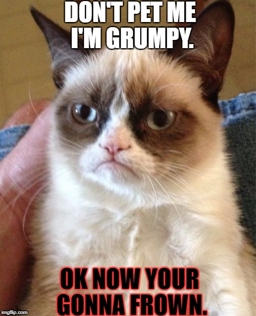 Grumpy Cat Meme | DON'T PET ME I'M GRUMPY. OK NOW YOUR GONNA FROWN. | image tagged in memes,grumpy cat | made w/ Imgflip meme maker