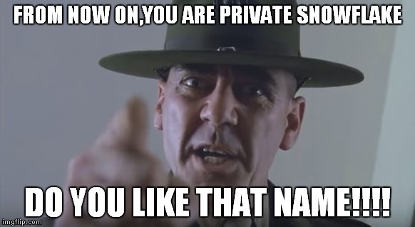 From Now On,You Are Private Snowflake | FROM NOW ON,YOU ARE PRIVATE SNOWFLAKE; DO YOU LIKE THAT NAME!!!! | image tagged in from now on,sjws,snowflakes,stupid liberals,retarded liberal protesters,hillary supporters | made w/ Imgflip meme maker