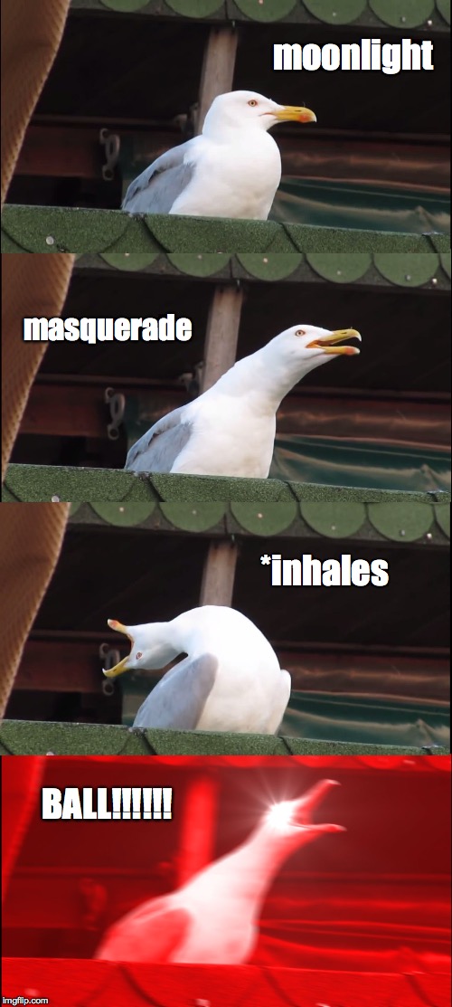 Inhaling Seagull | moonlight; masquerade; *inhales; BALL!!!!!! | image tagged in inhaling seagull | made w/ Imgflip meme maker