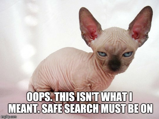 Google search  | OOPS. THIS ISN'T WHAT I MEANT. SAFE SEARCH MUST BE ON | image tagged in memes | made w/ Imgflip meme maker