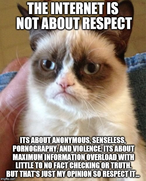 Grumpy Cat Meme | THE INTERNET IS NOT ABOUT RESPECT ITS ABOUT ANONYMOUS, SENSELESS, PORNOGRAPHY, AND VIOLENCE. ITS ABOUT MAXIMUM INFORMATION OVERLOAD WITH LIT | image tagged in memes,grumpy cat | made w/ Imgflip meme maker