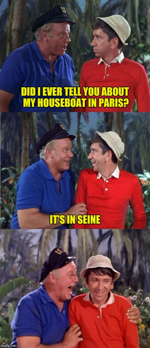 Marseille what? | DID I EVER TELL YOU ABOUT MY HOUSEBOAT IN PARIS? IT'S IN SEINE | image tagged in gilligan bad pun,skipper,paris,seine,houseboat | made w/ Imgflip meme maker