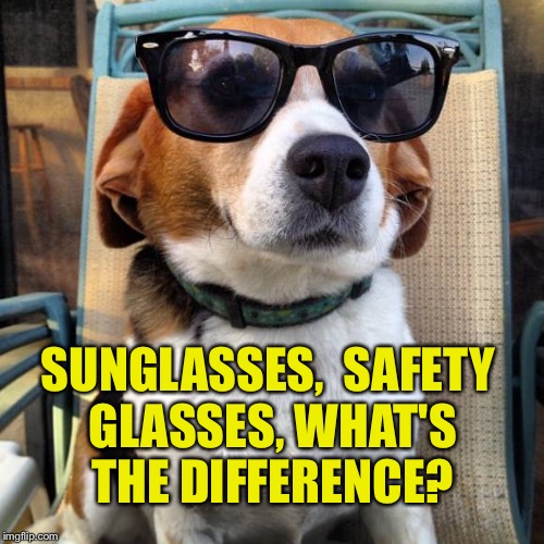 beagle sunglasses | SUNGLASSES, 
SAFETY GLASSES,
WHAT'S THE DIFFERENCE? | image tagged in beagle sunglasses | made w/ Imgflip meme maker