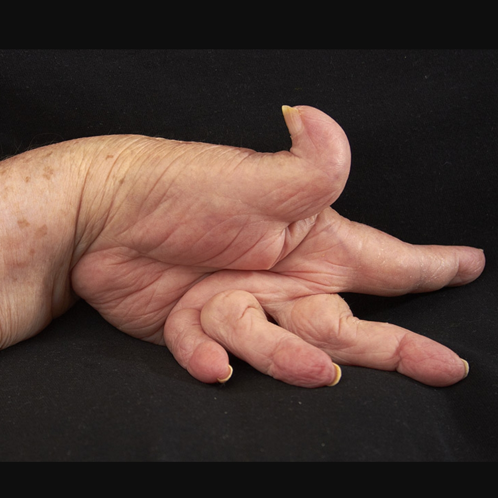 Yuh Blank Meme Template