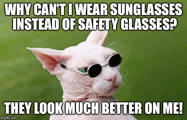sunglasses cat | WHY CAN'T I WEAR SUNGLASSES INSTEAD OF SAFETY GLASSES? THEY LOOK MUCH BETTER ON ME! | image tagged in sunglasses cat | made w/ Imgflip meme maker