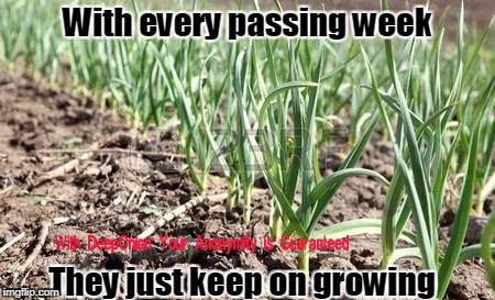 DeepOnion meme | With every passing week; They just keep on growing | image tagged in deep,onion | made w/ Imgflip meme maker
