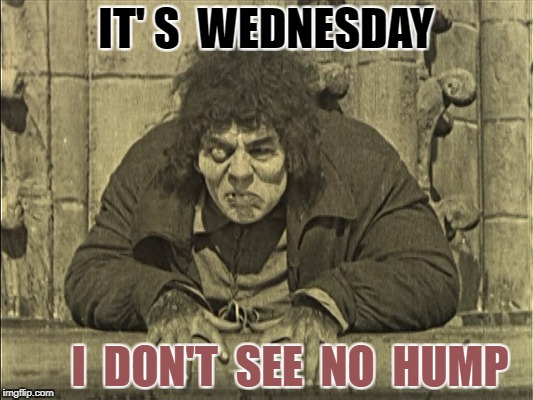 I see No Hump | IT' S  WEDNESDAY; I  DON'T  SEE  NO  HUMP | image tagged in the hunchback of notre dame | made w/ Imgflip meme maker