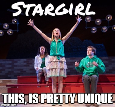 THIS, IS PRETTY UNIQUE | image tagged in stargirl and stuff | made w/ Imgflip meme maker