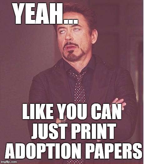 Face You Make Robert Downey Jr Meme | YEAH... LIKE YOU CAN JUST PRINT ADOPTION PAPERS | image tagged in memes,face you make robert downey jr | made w/ Imgflip meme maker