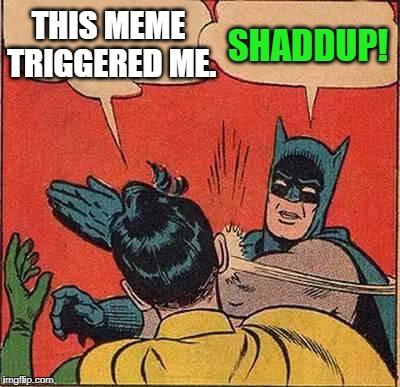 Batman Slapping Robin Meme | THIS MEME TRIGGERED ME. SHADDUP! | image tagged in memes,batman slapping robin | made w/ Imgflip meme maker