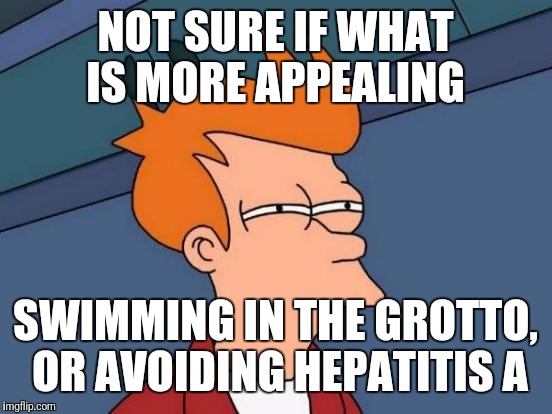 Futurama Fry Meme | NOT SURE IF WHAT IS MORE APPEALING SWIMMING IN THE GROTTO, OR AVOIDING HEPATITIS A | image tagged in memes,futurama fry | made w/ Imgflip meme maker