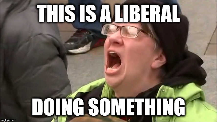 THIS IS A LIBERAL DOING SOMETHING | made w/ Imgflip meme maker