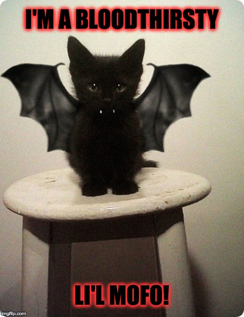 Ready For Halloween | I'M A BLOODTHIRSTY; LI'L MOFO! | image tagged in vampire kitty | made w/ Imgflip meme maker