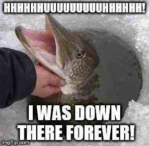 fish breath | HHHHHHUUUUUUUUUHHHHHH! I WAS DOWN THERE FOREVER! | image tagged in tttt memes | made w/ Imgflip meme maker