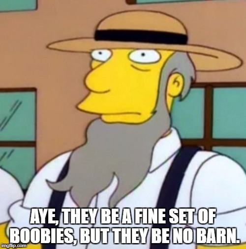 AYE, THEY BE A FINE SET OF BOOBIES, BUT THEY BE NO BARN. | image tagged in simpsons amish | made w/ Imgflip meme maker