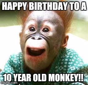 Happy Monkey Happy Birthday | HAPPY BIRTHDAY TO A; 10 YEAR OLD MONKEY!! | image tagged in happy monkey happy birthday | made w/ Imgflip meme maker