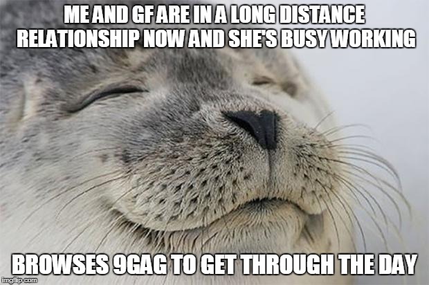 Satisfied Seal Meme | ME AND GF ARE IN A LONG DISTANCE RELATIONSHIP NOW AND SHE'S BUSY WORKING; BROWSES 9GAG TO GET THROUGH THE DAY | image tagged in memes,satisfied seal | made w/ Imgflip meme maker