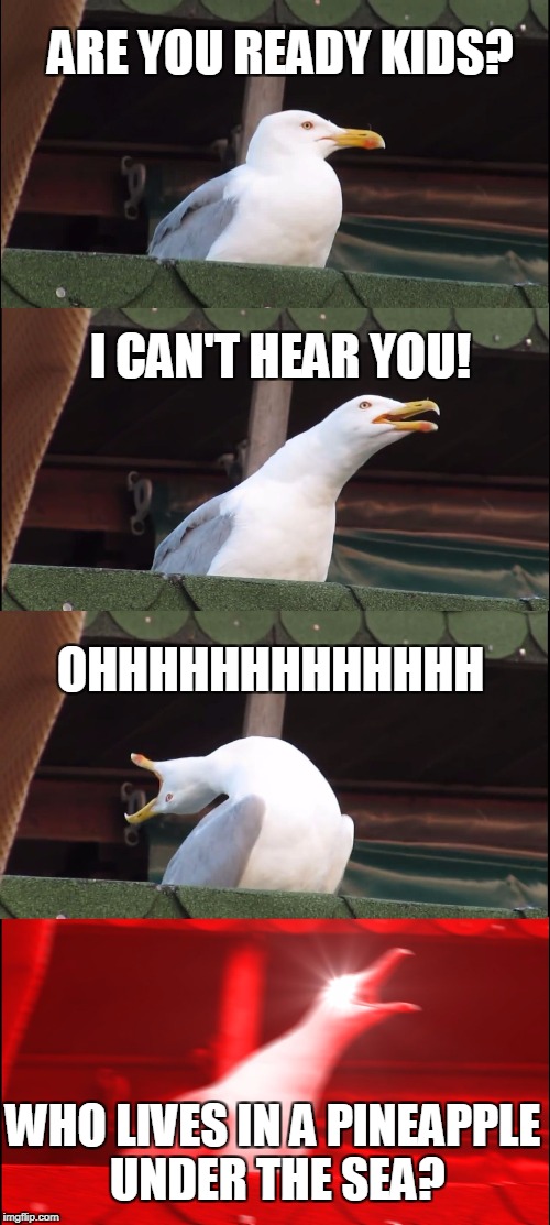 Inhaling Seagull | ARE YOU READY KIDS? I CAN'T HEAR YOU! OHHHHHHHHHHHHH; WHO LIVES IN A PINEAPPLE UNDER THE SEA? | image tagged in inhaling seagull | made w/ Imgflip meme maker
