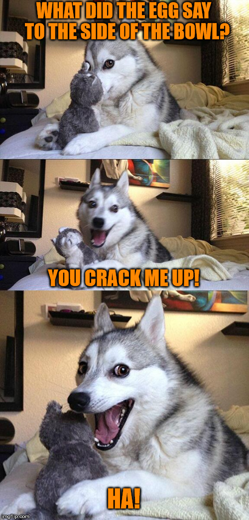 Bad Egg Pun Dog | WHAT DID THE EGG SAY  TO THE SIDE OF THE BOWL? YOU CRACK ME UP! HA! | image tagged in memes,bad pun dog,egg,pun,funny | made w/ Imgflip meme maker