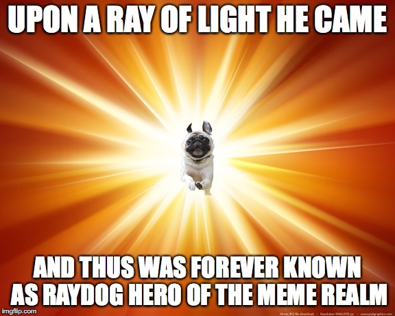 RayDog | UPON A RAY OF LIGHT HE CAME; AND THUS WAS FOREVER KNOWN AS RAYDOG HERO OF THE MEME REALM | image tagged in raydog,memes | made w/ Imgflip meme maker