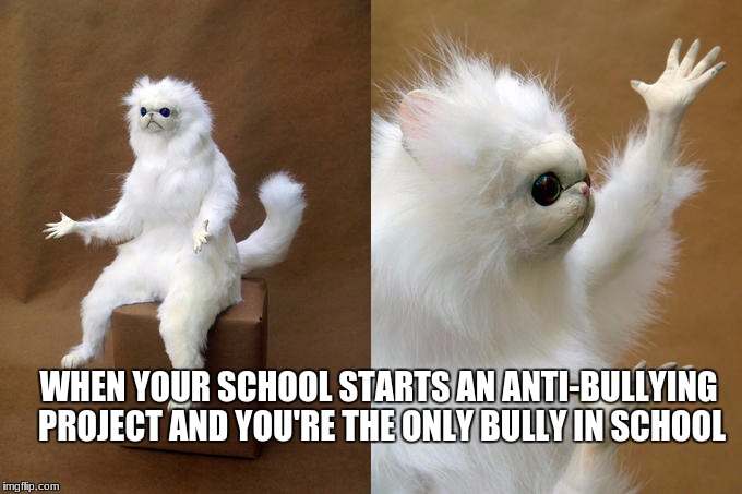Persian Cat Room Guardian Meme | WHEN YOUR SCHOOL STARTS AN ANTI-BULLYING PROJECT AND YOU'RE THE ONLY BULLY IN SCHOOL | image tagged in memes,persian cat room guardian | made w/ Imgflip meme maker