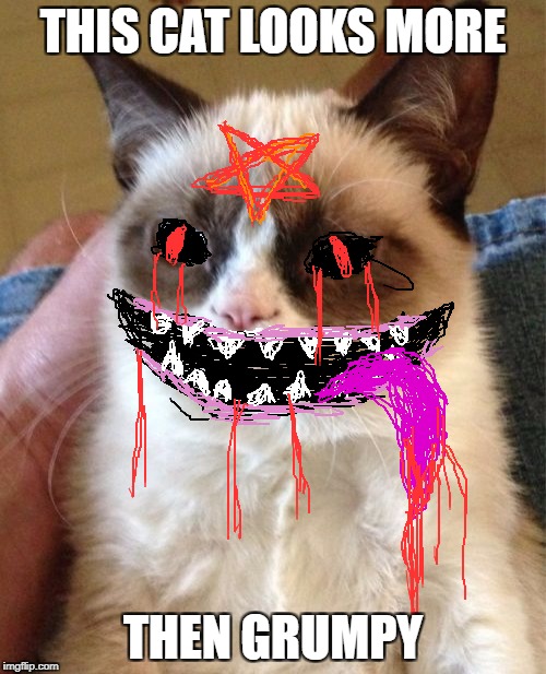 Come on, I tried.... | THIS CAT LOOKS MORE; THEN GRUMPY | image tagged in memes,grumpy cat | made w/ Imgflip meme maker