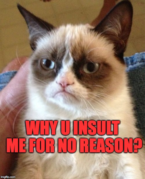 Grumpy Cat Meme | WHY U INSULT ME FOR NO REASON? | image tagged in memes,grumpy cat | made w/ Imgflip meme maker