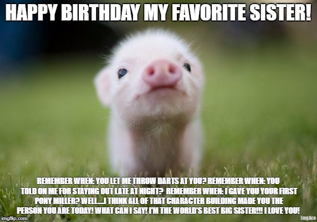 piglet | HAPPY BIRTHDAY MY FAVORITE SISTER! REMEMBER WHEN: YOU LET ME THROW DARTS AT YOU?
REMEMBER WHEN: YOU TOLD ON ME FOR STAYING OUT LATE AT NIGHT? 
REMEMBER WHEN: I GAVE YOU YOUR FIRST PONY MILLER?
WELL....I THINK ALL OF THAT CHARACTER BUILDING MADE YOU THE PERSON YOU ARE TODAY! WHAT CAN I SAY! I'M THE WORLD'S BEST BIG SISTER!!! I LOVE YOU! | image tagged in piglet | made w/ Imgflip meme maker