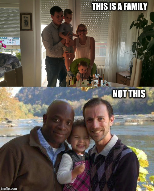 Family | THIS IS A FAMILY; NOT THIS | image tagged in family | made w/ Imgflip meme maker