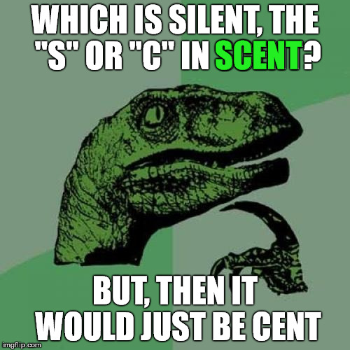Scent Cent  | WHICH IS SILENT, THE "S" OR "C" IN SCENT? SCENT; BUT, THEN IT WOULD JUST BE CENT | image tagged in memes,philosoraptor,stupid,confused | made w/ Imgflip meme maker