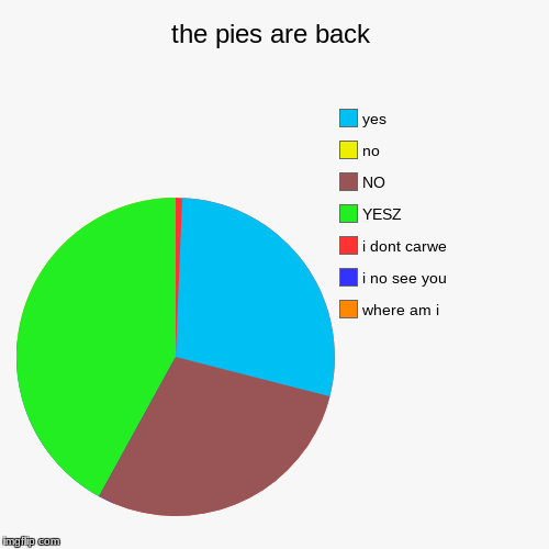 the pies are back | image tagged in funny,pie charts | made w/ Imgflip chart maker