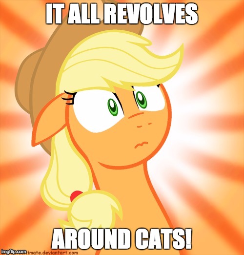 Shocked Applejack | IT ALL REVOLVES; AROUND CATS! | image tagged in shocked applejack | made w/ Imgflip meme maker