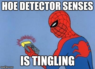 spiderman detector | HOE DETECTOR SENSES; IS TINGLING | image tagged in spiderman detector | made w/ Imgflip meme maker