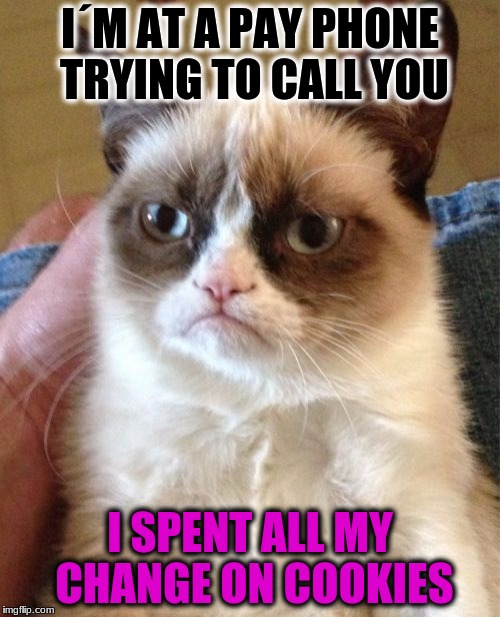Grumpy Cat | I´M AT A PAY PHONE TRYING TO CALL YOU; I SPENT ALL MY CHANGE ON COOKIES | image tagged in memes,grumpy cat | made w/ Imgflip meme maker