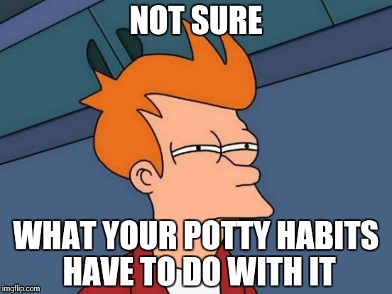 Futurama Fry Meme | NOT SURE WHAT YOUR POTTY HABITS HAVE TO DO WITH IT | image tagged in memes,futurama fry | made w/ Imgflip meme maker