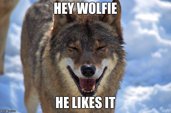 HEY WOLFIE HE LIKES IT | made w/ Imgflip meme maker