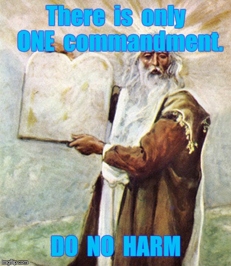 moses | There  is  only  ONE  commandment. DO  NO  HARM | image tagged in moses | made w/ Imgflip meme maker