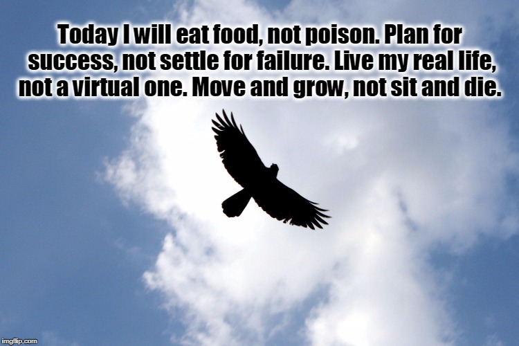 Today I will eat food, not poison. Plan for success, not settle for failure. Live my real life, not a virtual one. Move and grow, not sit and die. | made w/ Imgflip meme maker